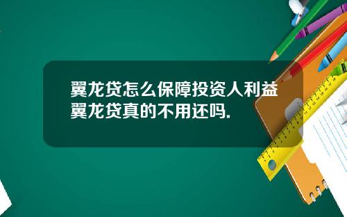翼龙贷怎么保障投资人利益翼龙贷真的不用还吗.