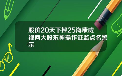 股价20天下挫25海康威视两大股东神操作证监点名警示