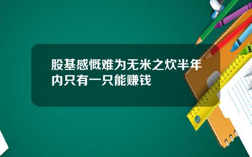 股基感慨难为无米之炊半年内只有一只能赚钱
