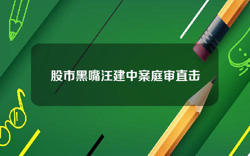 股市黑嘴汪建中案庭审直击