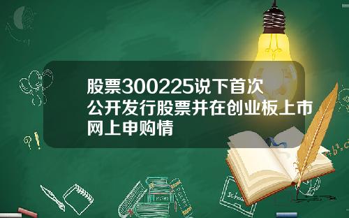 股票300225说下首次公开发行股票并在创业板上市网上申购情