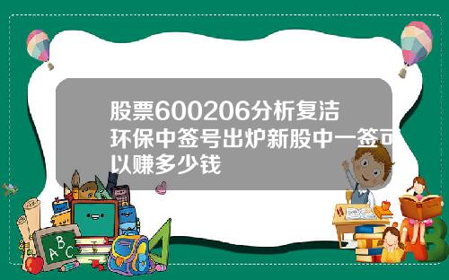 股票600206分析复洁环保中签号出炉新股中一签可以赚多少钱