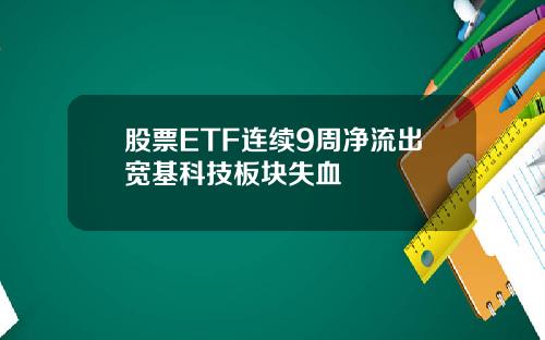 股票ETF连续9周净流出宽基科技板块失血