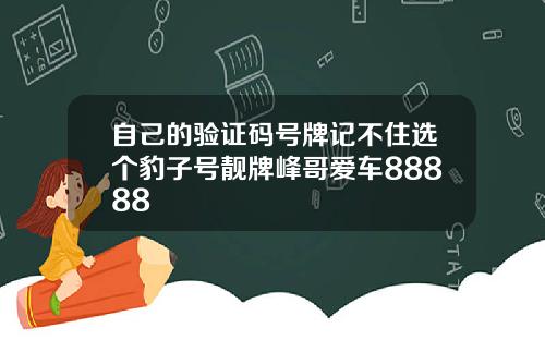 自己的验证码号牌记不住选个豹子号靓牌峰哥爱车88888