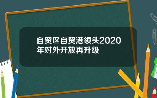 自贸区自贸港领头2020年对外开放再升级