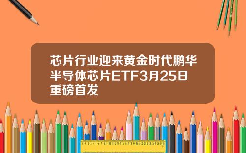 芯片行业迎来黄金时代鹏华半导体芯片ETF3月25日重磅首发