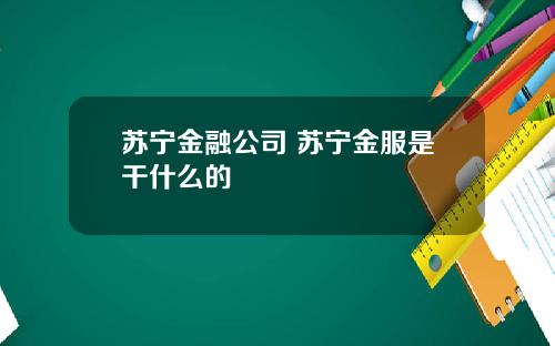 苏宁金融公司 苏宁金服是干什么的