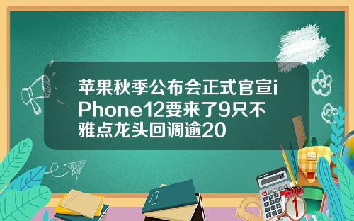苹果秋季公布会正式官宣iPhone12要来了9只不雅点龙头回调逾20