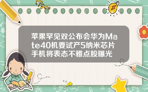 苹果罕见双公布会华为Mate40机要试产5纳米芯片手机将表态不雅点股曝光