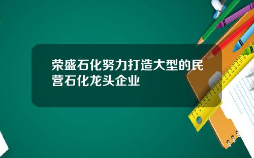 荣盛石化努力打造大型的民营石化龙头企业