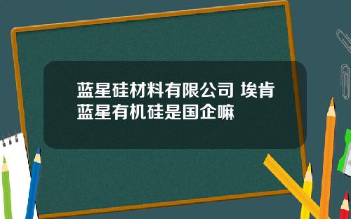 蓝星硅材料有限公司 埃肯蓝星有机硅是国企嘛