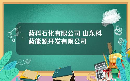 蓝科石化有限公司 山东科蓝能源开发有限公司