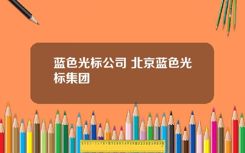 蓝色光标公司 北京蓝色光标集团