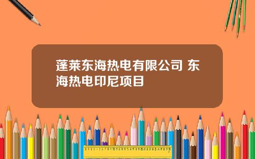 蓬莱东海热电有限公司 东海热电印尼项目