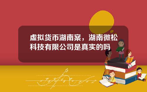 虚拟货币湖南案，湖南微松科技有限公司是真实的吗