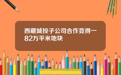 西藏城投子公司合作竞得一82万平米地块