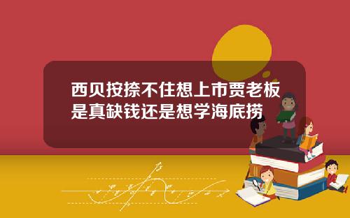 西贝按捺不住想上市贾老板是真缺钱还是想学海底捞