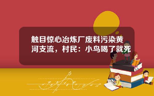 触目惊心冶炼厂废料污染黄河支流，村民：小鸟喝了就死