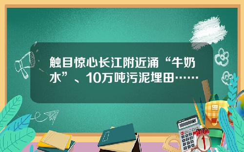 触目惊心长江附近涌“牛奶水”、10万吨污泥埋田……