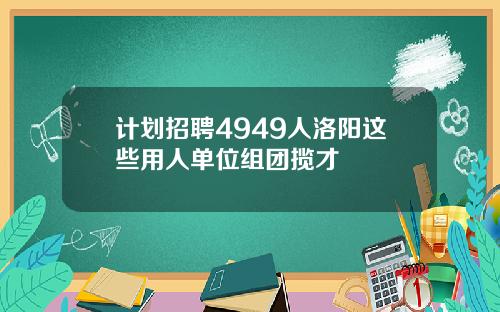 计划招聘4949人洛阳这些用人单位组团揽才