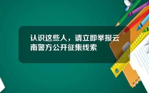 认识这些人，请立即举报云南警方公开征集线索