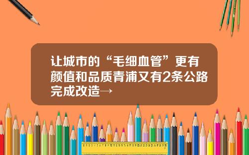 让城市的“毛细血管”更有颜值和品质青浦又有2条公路完成改造→