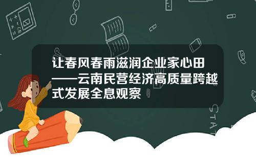 让春风春雨滋润企业家心田——云南民营经济高质量跨越式发展全息观察