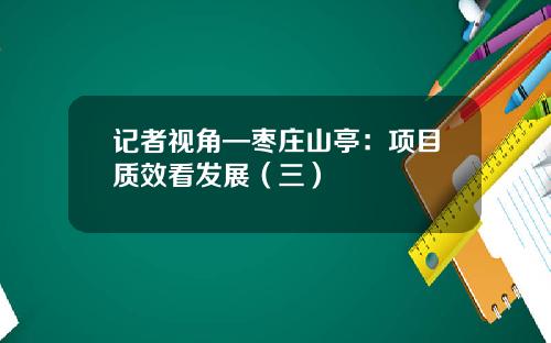 记者视角—枣庄山亭：项目质效看发展（三）