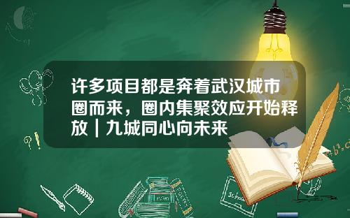 许多项目都是奔着武汉城市圈而来，圈内集聚效应开始释放｜九城同心向未来