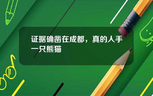证据确凿在成都，真的人手一只熊猫
