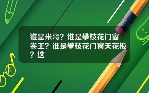 谁是米哥？谁是攀枝花门窗卷王？谁是攀枝花门窗天花板？这