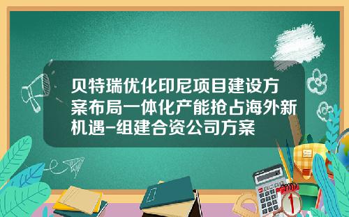 贝特瑞优化印尼项目建设方案布局一体化产能抢占海外新机遇-组建合资公司方案