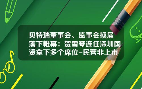 贝特瑞董事会、监事会换届落下帷幕：贺雪琴连任深圳国资拿下多个席位-民营非上市公司董事会