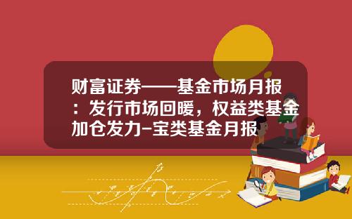 财富证券——基金市场月报：发行市场回暖，权益类基金加仓发力-宝类基金月报