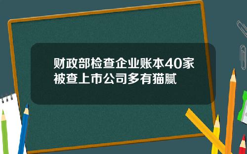 财政部检查企业账本40家被查上市公司多有猫腻