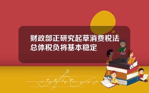 财政部正研究起草消费税法总体税负将基本稳定