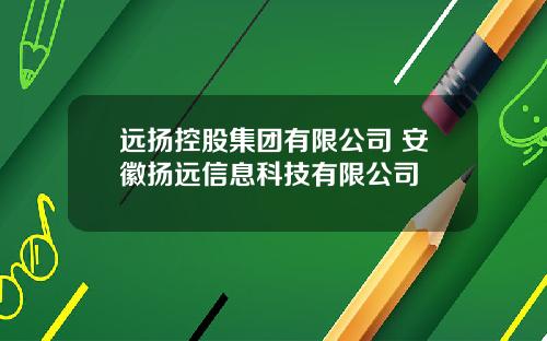 远扬控股集团有限公司 安徽扬远信息科技有限公司