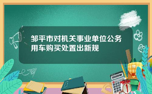 邹平市对机关事业单位公务用车购买处置出新规