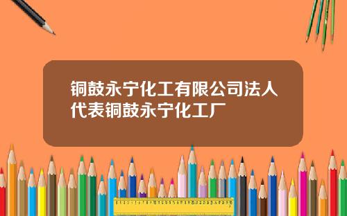 铜鼓永宁化工有限公司法人代表铜鼓永宁化工厂