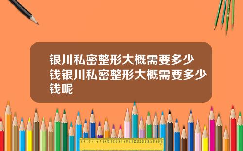 银川私密整形大概需要多少钱银川私密整形大概需要多少钱呢