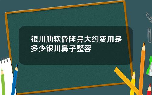 银川肋软骨隆鼻大约费用是多少银川鼻子整容