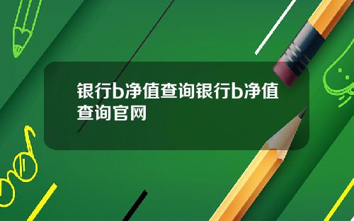 银行b净值查询银行b净值查询官网