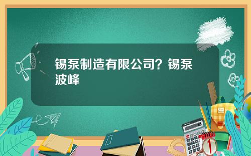 锡泵制造有限公司？锡泵 波峰