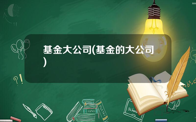基金大公司(基金的大公司)