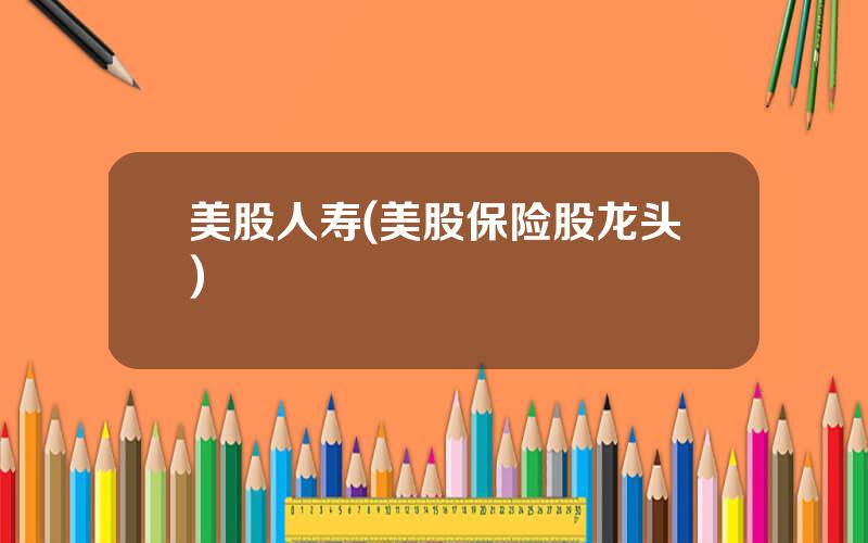 美股人寿(美股保险股龙头)