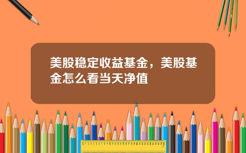 美股稳定收益基金，美股基金怎么看当天净值