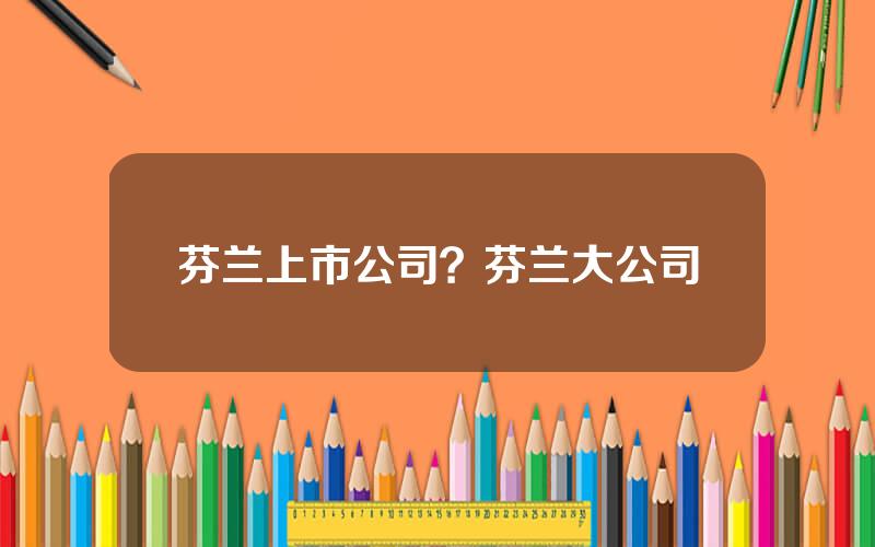 芬兰上市公司？芬兰大公司