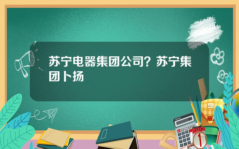 苏宁电器集团公司？苏宁集团卜扬