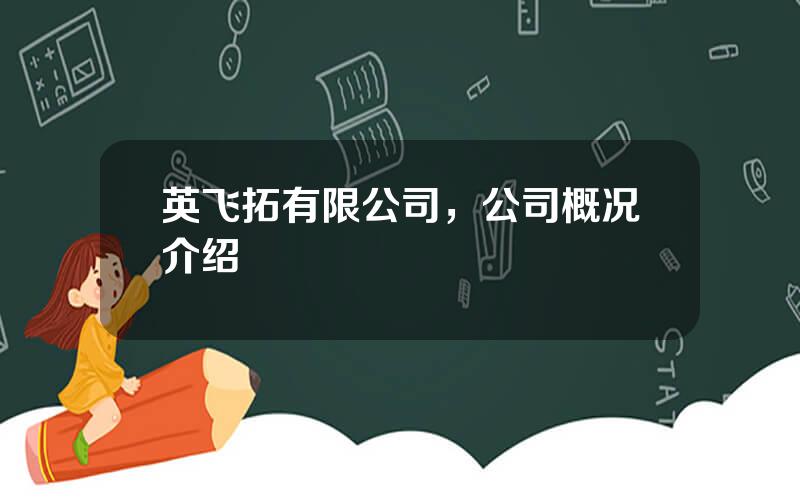 英飞拓有限公司，公司概况介绍