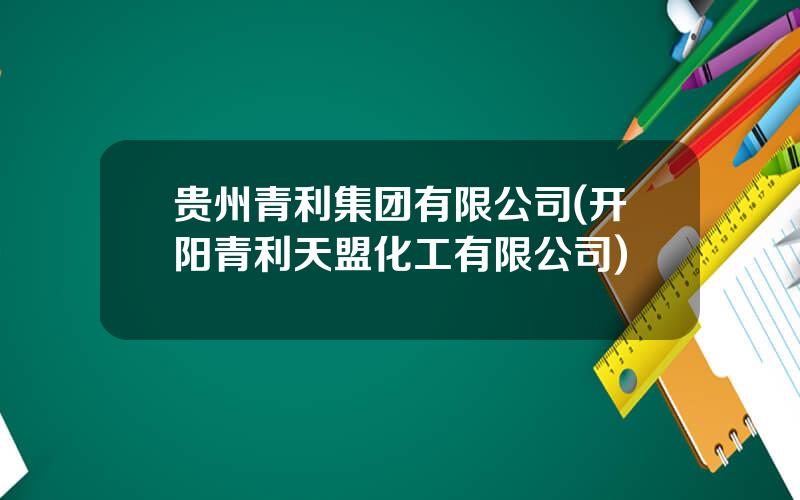 贵州青利集团有限公司(开阳青利天盟化工有限公司)